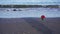 Red rose and moving shadows of walking people on wet sand