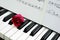 Red rose and music score on piano keyboard