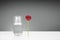 Red rose next to a glass vase