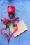 Red rose and paper card on blue jean background for Valentine& x27;s background concept