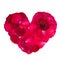 Red rose petal heart valentine\'s