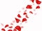 Red rose petals fly. Valentine backdrop. Elegant love texture. Wedding flowers floating. Floral spring invitation