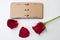 Red rose petals with opened antique diary