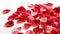 Red rose petals on white background