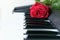 Red rose on piano keyboard. Love song concept, romantic music