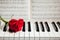 Red rose on piano keys and music book