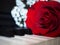 Red rose on piano, romantic music composition