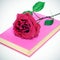 Red rose and a pink book