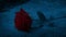 Red rose placed on stone in the dark