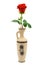 Red rose in retro vase