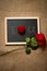 Red rose and ring in box lying on chalkboard