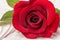 Red rose and sanitary pads. The concept of purity and freshness