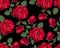Red rose seamless pattern vector illustration
