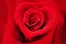 Red rose in shape of a heart