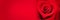 Red rose in the shape of a heart on panoramic red background valentines day web banner