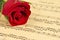 Red Rose on Sheet Music