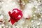 Red rose in snow closeup. Selective focus.