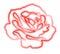 Red rose with a stroke on a white background.