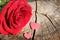 Red rose and two hearts on a weathered tree trunk