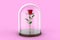 Red Rose Under Glass Dome - Beauty and the Beast Concept 3D Illustration