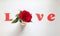 Red rose on white background forms the word love