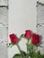 Red rose on white brick block wall show Pattern stack block rough surface texture material background Weld the joints with cement