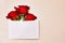 Red rose in a white envelope on a beige background. Gift for March 8 and Valentine's day. A letter with a flower.