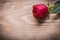 Red rosebud on wooden board holiday concept