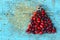 Red Rosehips On Blue Wooden Background