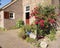 Red roses against very old farmhouse in old town of bronkhorst in the netherlands