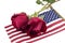 Red Roses on American Flag