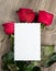 Red roses and blank sheet on wooden