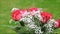 Red roses bouquet with white gypsophila