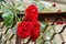 Red roses on a bush branch on a brown iron fence