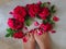 Red roses in a circle composition and woman feet with red manicure in the middle