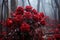 Red roses cloaked in mystery and charm, valentine, dating and love proposal image