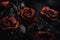 Red roses close-up dark romantic background. Flowers wallpaper