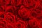 Red roses decorative bouquet background for decorative design. Invitation, greeting card.
