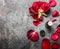 Red roses flowers and petals and bottle of essential oil on gray vintage background, top view