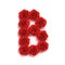 Red roses font letter B