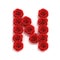 Red roses font letter N