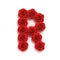 Red roses font letter R