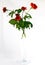 Red roses in glass vase