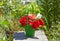 Red roses in a green basket. There are a blurred garden in the