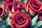 Red roses with green leaves background. Beautiful up-close flowers buds.