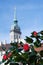 Red roses with Munich Alter Peter or St Peter`s church in the background