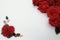 Red roses with pebbles on a white background