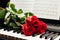 Red roses on piano keys and music book