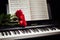 Red roses on piano keys and music book