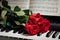 Red roses on piano keys and music book